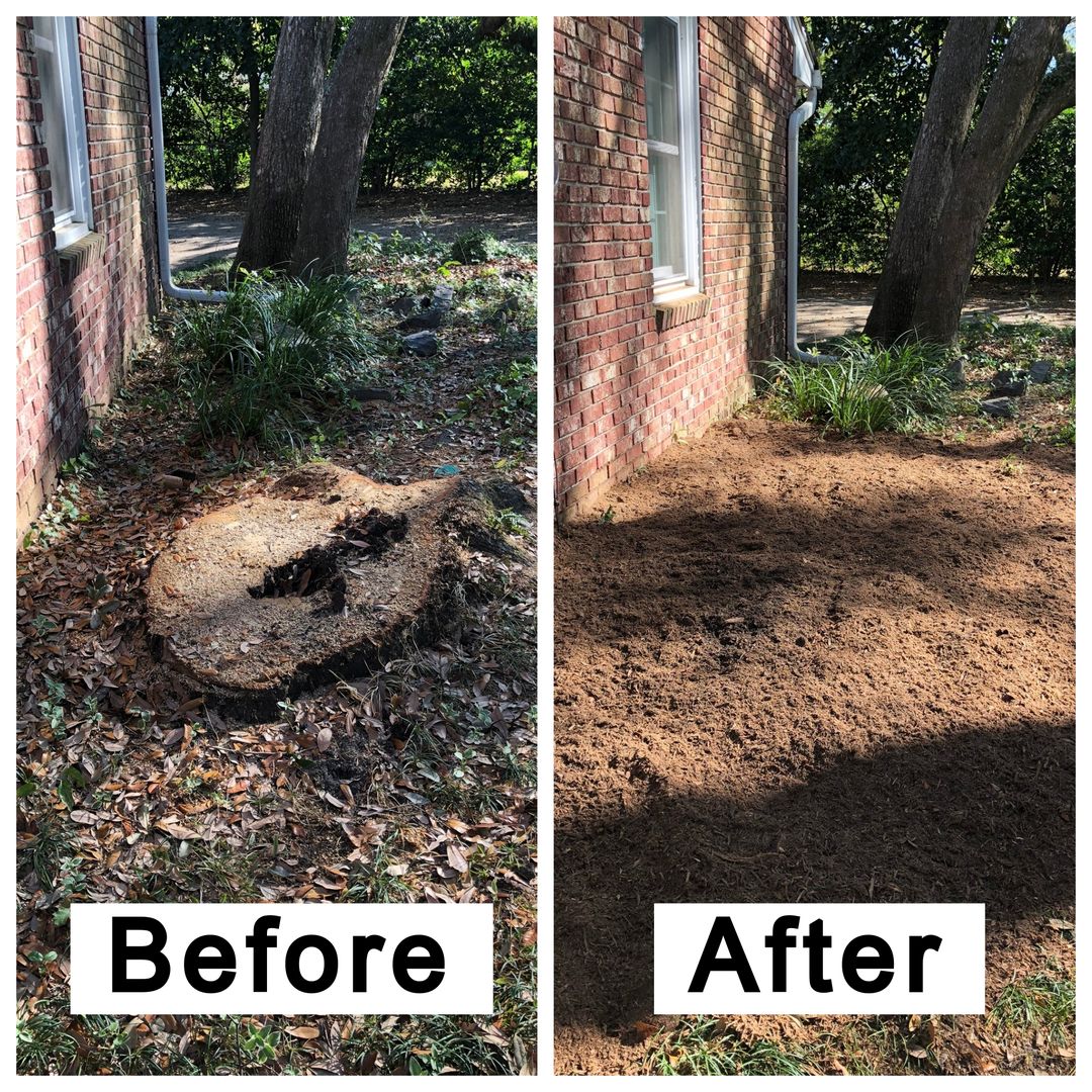 Before and after stump removal