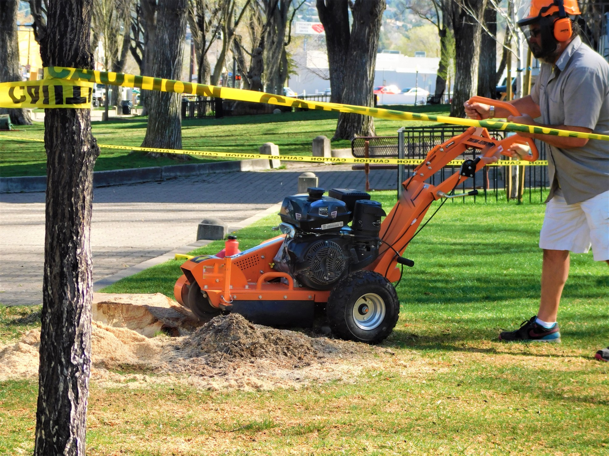 Stump grinding service